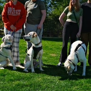 More dogs at Bark in the Park